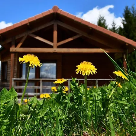 L'oree Du Pichier Chalet